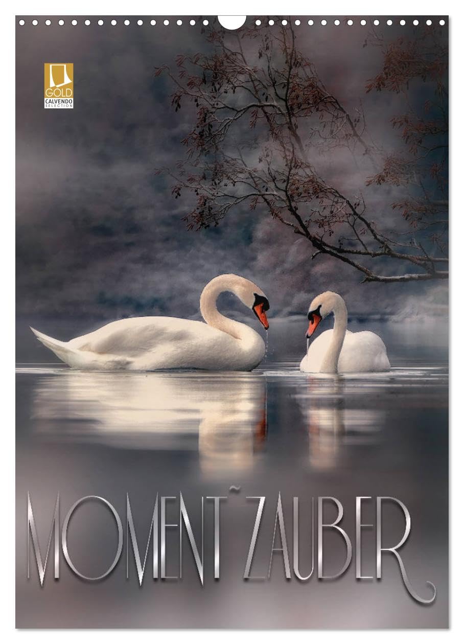 Moment Zauber (Wandkalender 2026 DIN A3 hoch), CALVENDO Monatskalender Photography