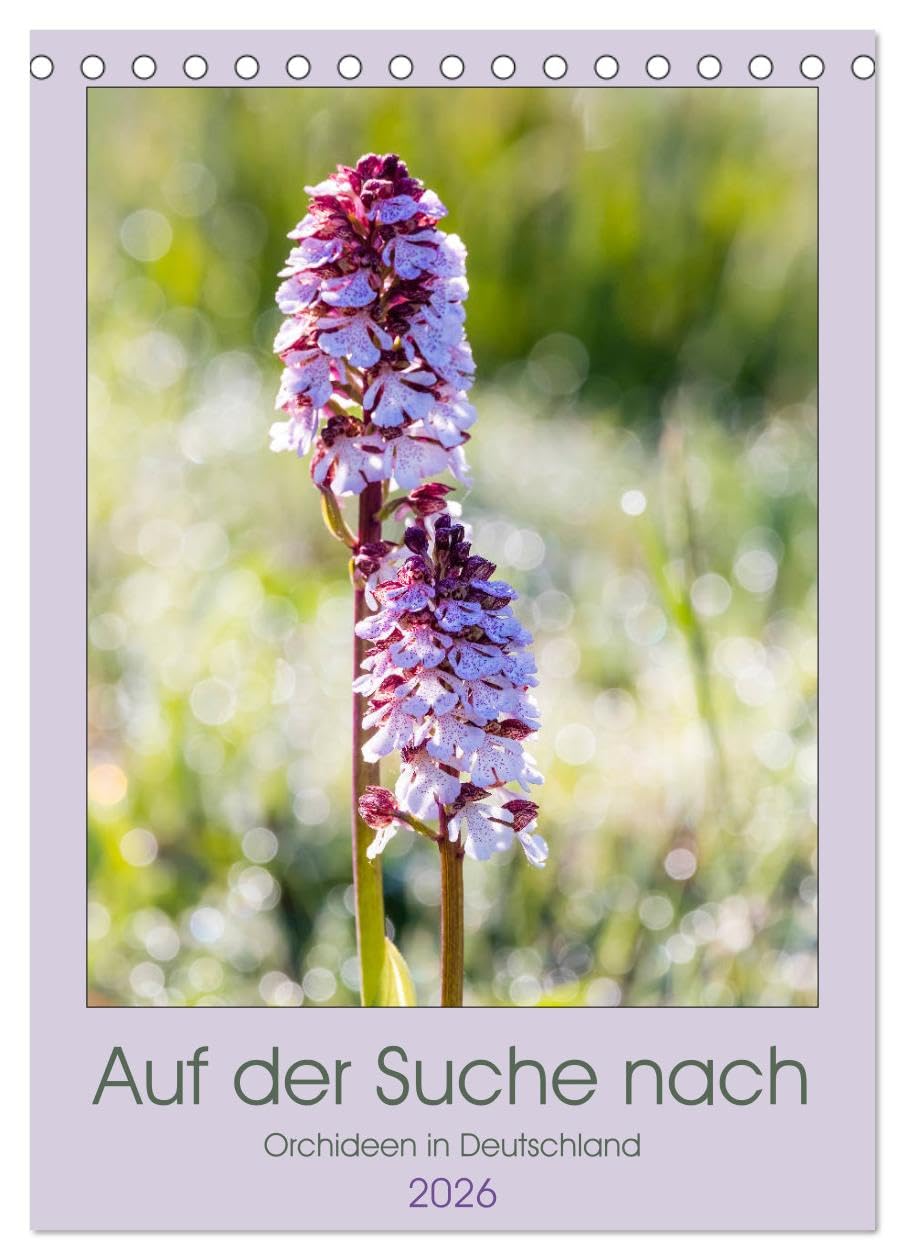 Auf der Suche nach Orchideen in Deutschland (Tischkalender 2026 DIN A5 hoch), CALVENDO Monatskalender Business & Technology