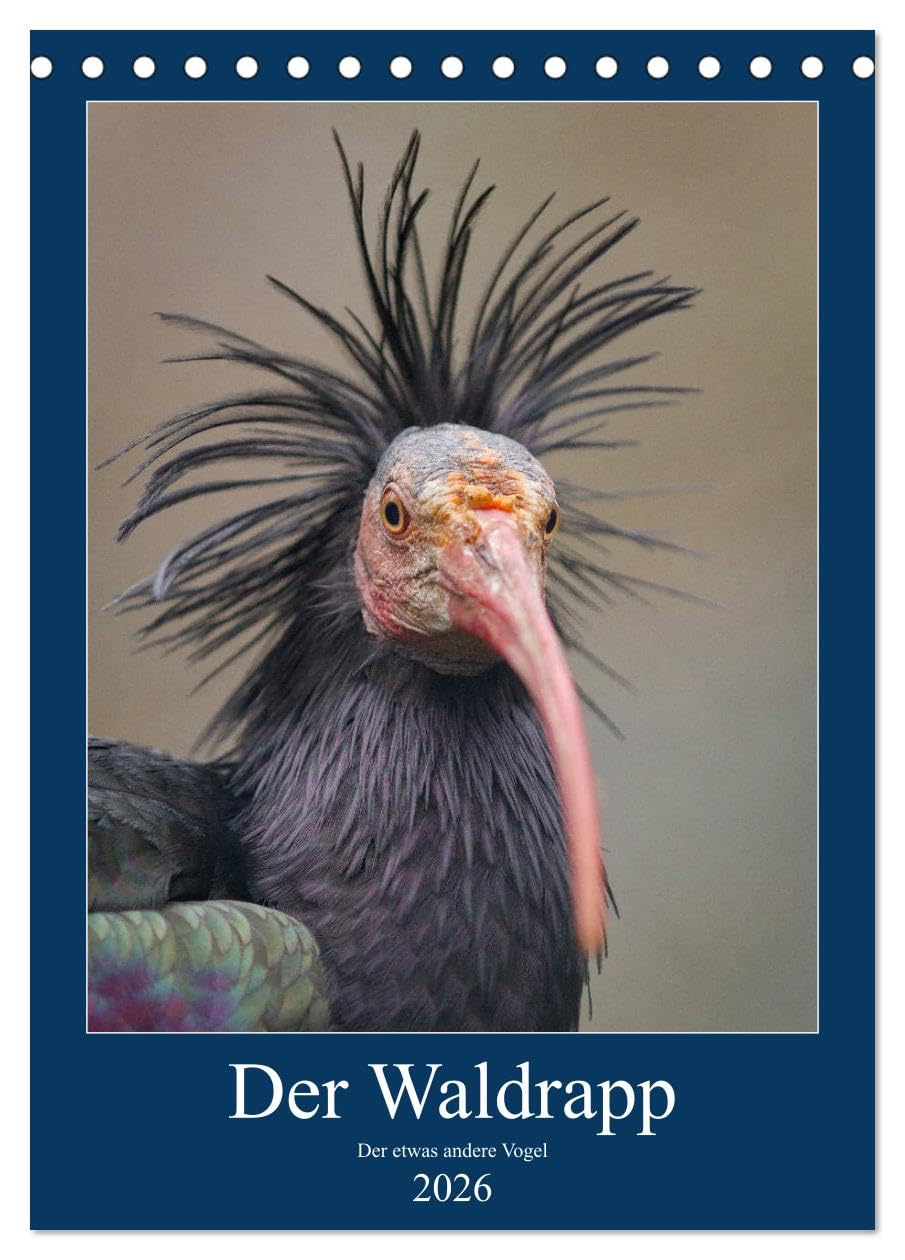 Der Waldrapp - Der etwas andere Vogel (Tischkalender 2026 DIN A5 hoch), CALVENDO Monatskalender Natural Sciences