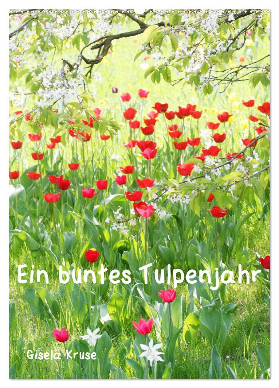 Ein buntes Tulpenjahr (Wandkalender 2026 DIN A2 hoch), CALVENDO Monatskalender Business & Technology