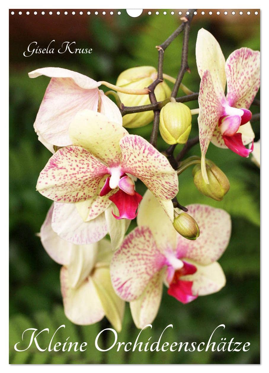Kleine Orchideenschätze (Wandkalender 2026 DIN A3 hoch), CALVENDO Monatskalender Business & Technology