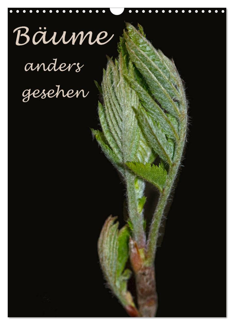 Bäume anders gesehen (Wandkalender 2026 DIN A3 hoch), CALVENDO Monatskalender Contemporary literature