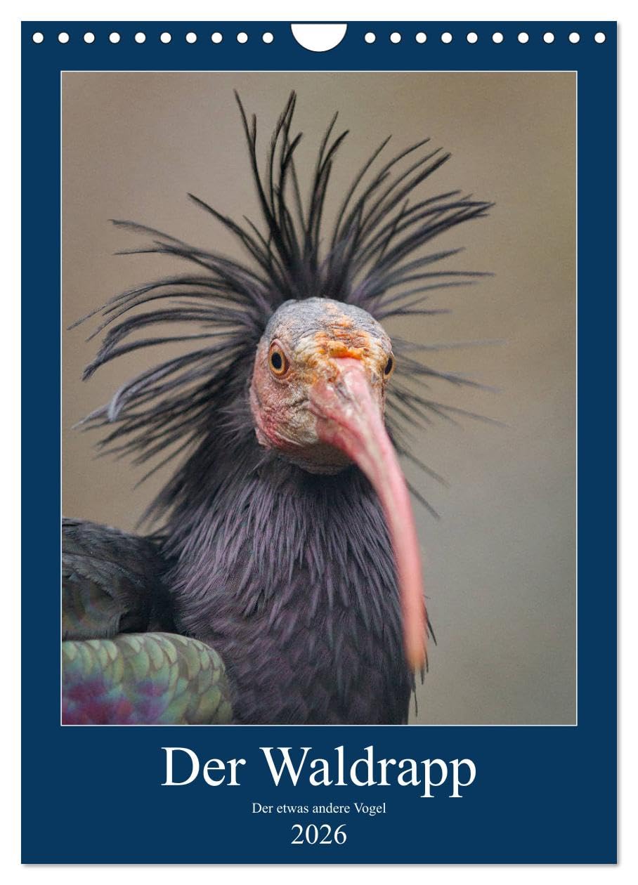 Der Waldrapp - Der etwas andere Vogel (Wandkalender 2026 DIN A4 hoch), CALVENDO Monatskalender Natural Sciences