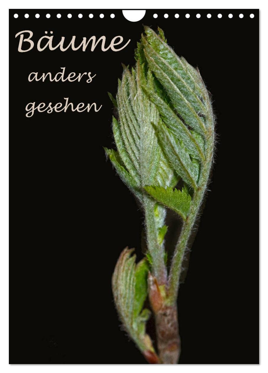 Bäume anders gesehen (Wandkalender 2026 DIN A4 hoch), CALVENDO Monatskalender Contemporary literature