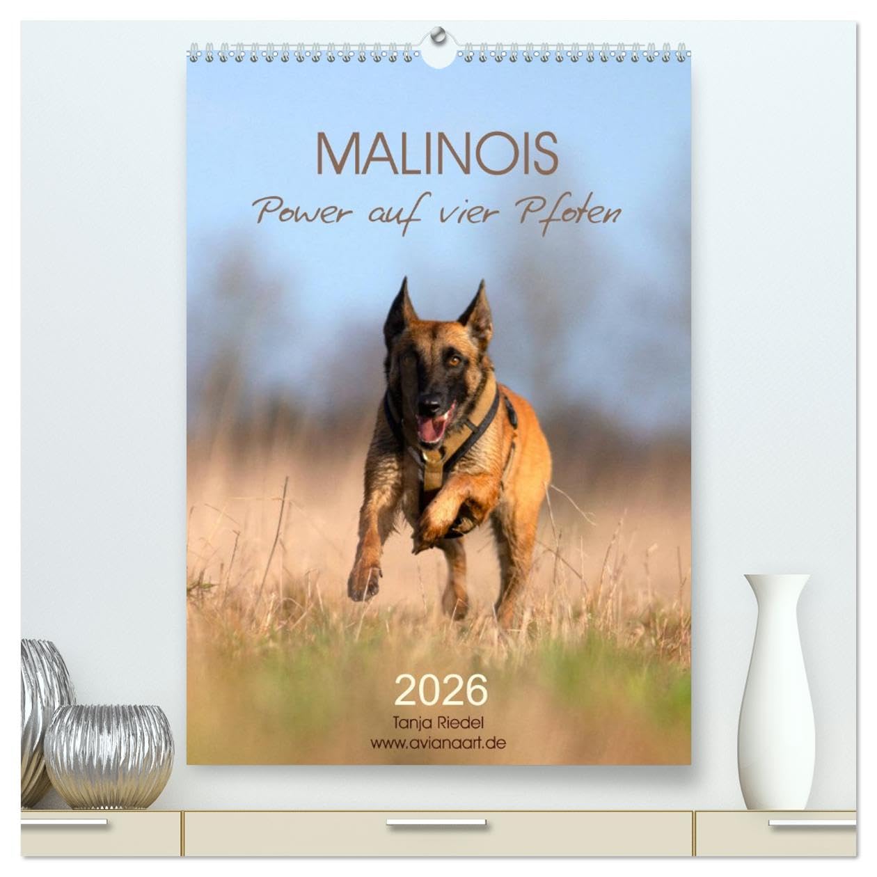 Malinois Power auf vier Pfoten (hochwertiger Premium Wandkalender 2026 DIN A2 hoch), Kunstdruck in Hochglanz Social Sciences