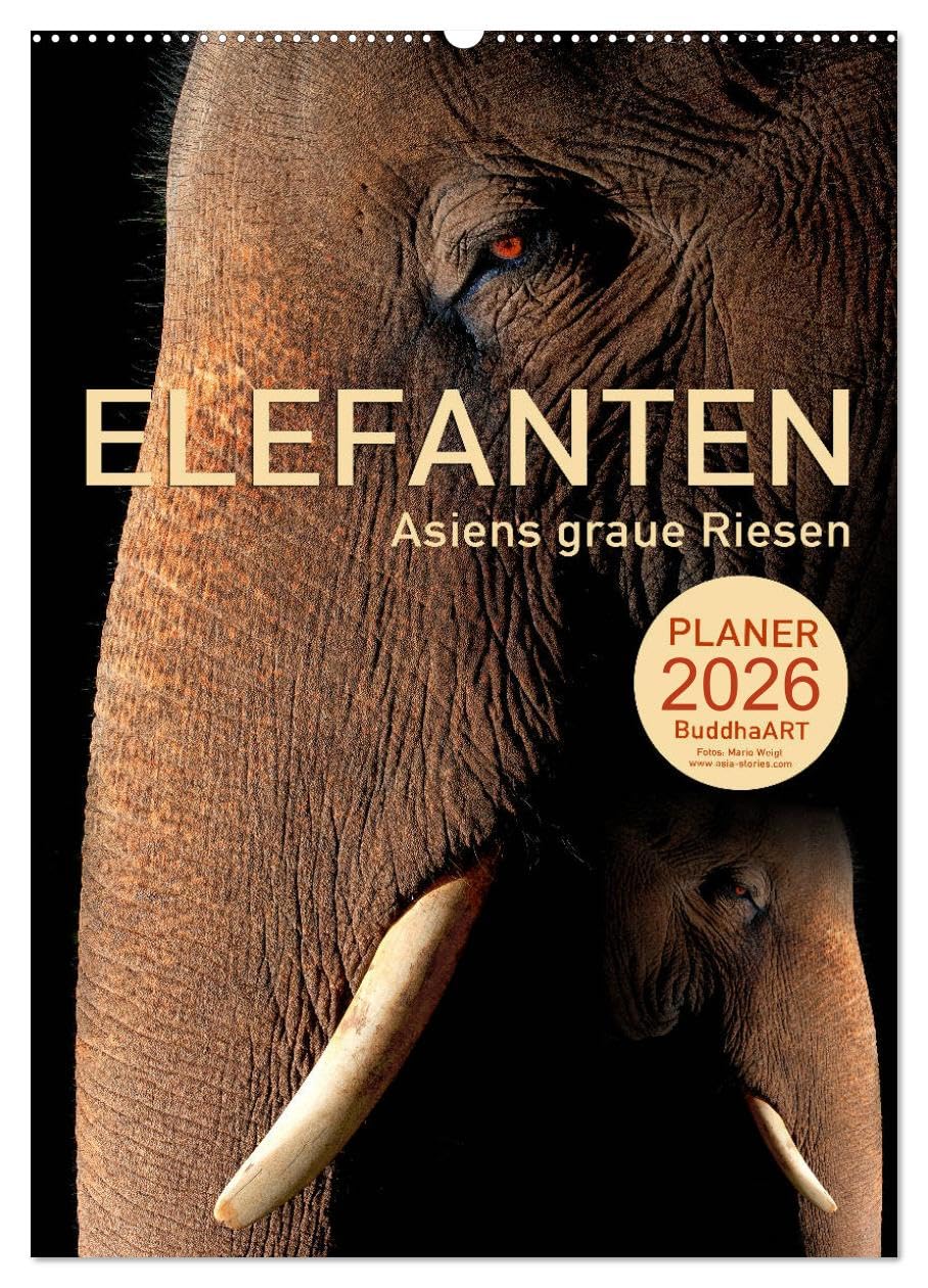 ELEFANTEN - Asiens graue Riesen (Wandkalender 2026 DIN A2 hoch), CALVENDO Monatskalender Natural Sciences