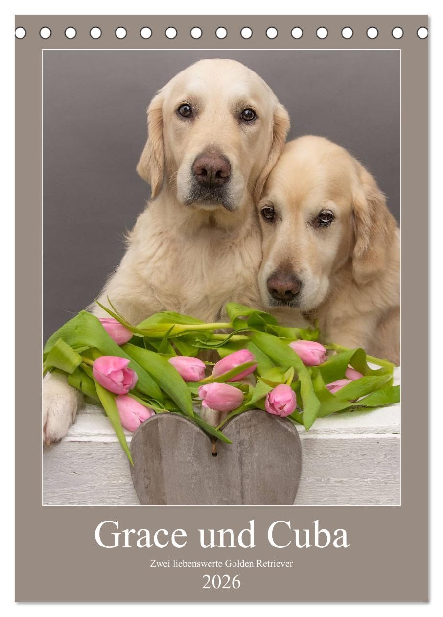 Grace und Cuba - Zwei liebenswerte Golden Retriever (Tischkalender 2026 DIN A5 hoch), CALVENDO Monatskalender Natural Sciences