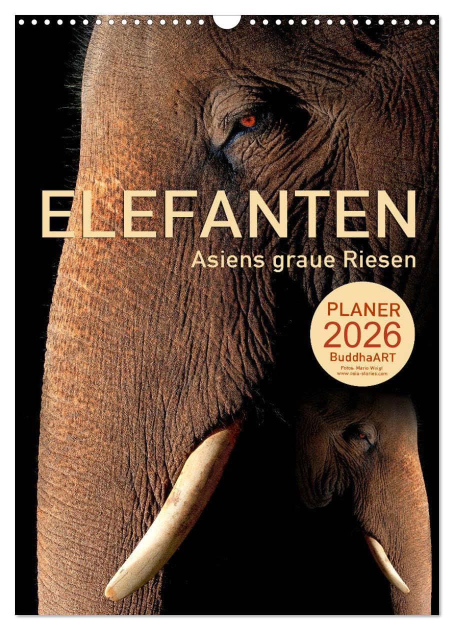 ELEFANTEN - Asiens graue Riesen (Wandkalender 2026 DIN A3 hoch), CALVENDO Monatskalender Natural Sciences
