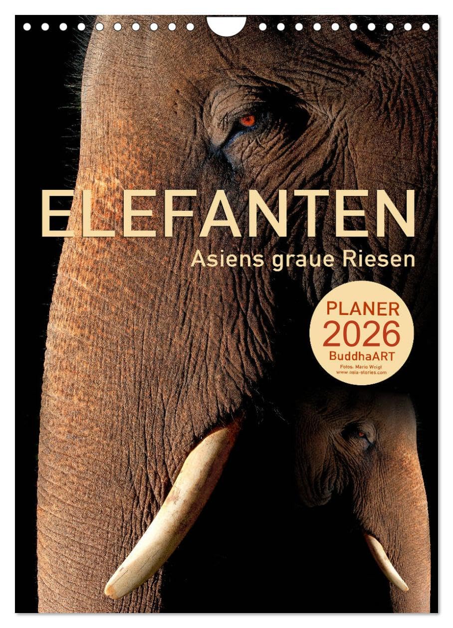 ELEFANTEN - Asiens graue Riesen (Wandkalender 2026 DIN A4 hoch), CALVENDO Monatskalender Natural Sciences