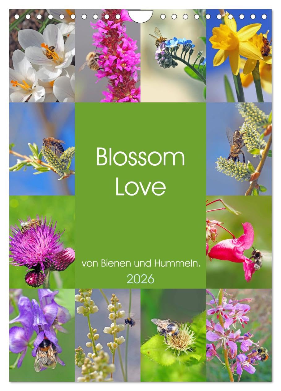 Blossom Love, von Bienen und Hummeln (Wandkalender 2026 DIN A4 hoch), CALVENDO Monatskalender Social Sciences