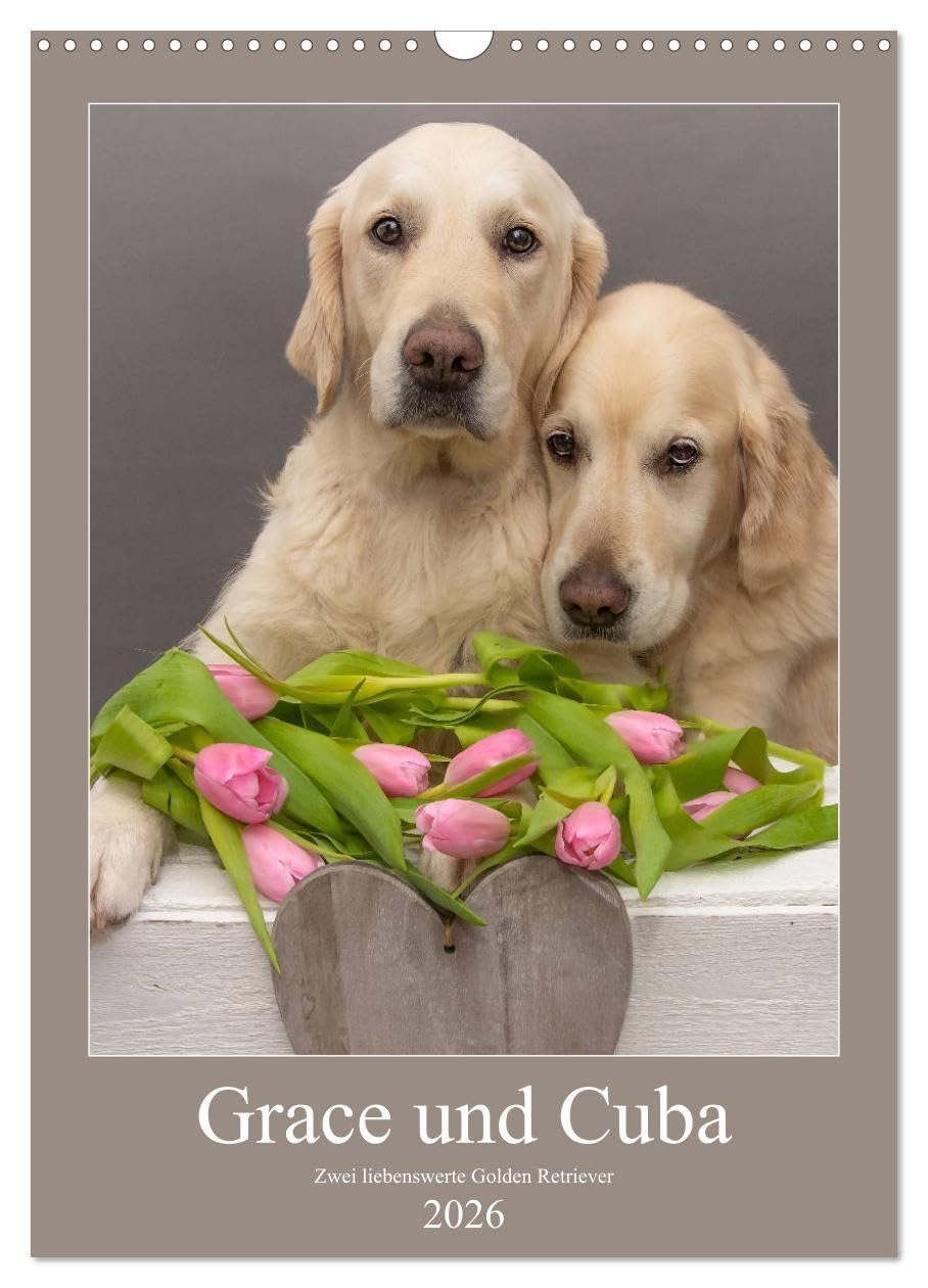 Grace und Cuba - Zwei liebenswerte Golden Retriever (Wandkalender 2026 DIN A3 hoch), CALVENDO Monatskalender Natural Sciences