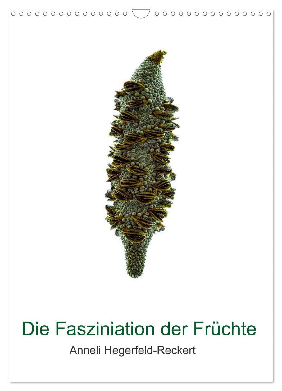 Die Faszination der Früchte (Wandkalender 2026 DIN A3 hoch), CALVENDO Monatskalender: Die Schönheit der Früchte in eindrucksvollen Nahaufnahmen der Fotografin Anneli Hegerfeld-Reckert (CALVENDO Natur) Film, Art & Culture