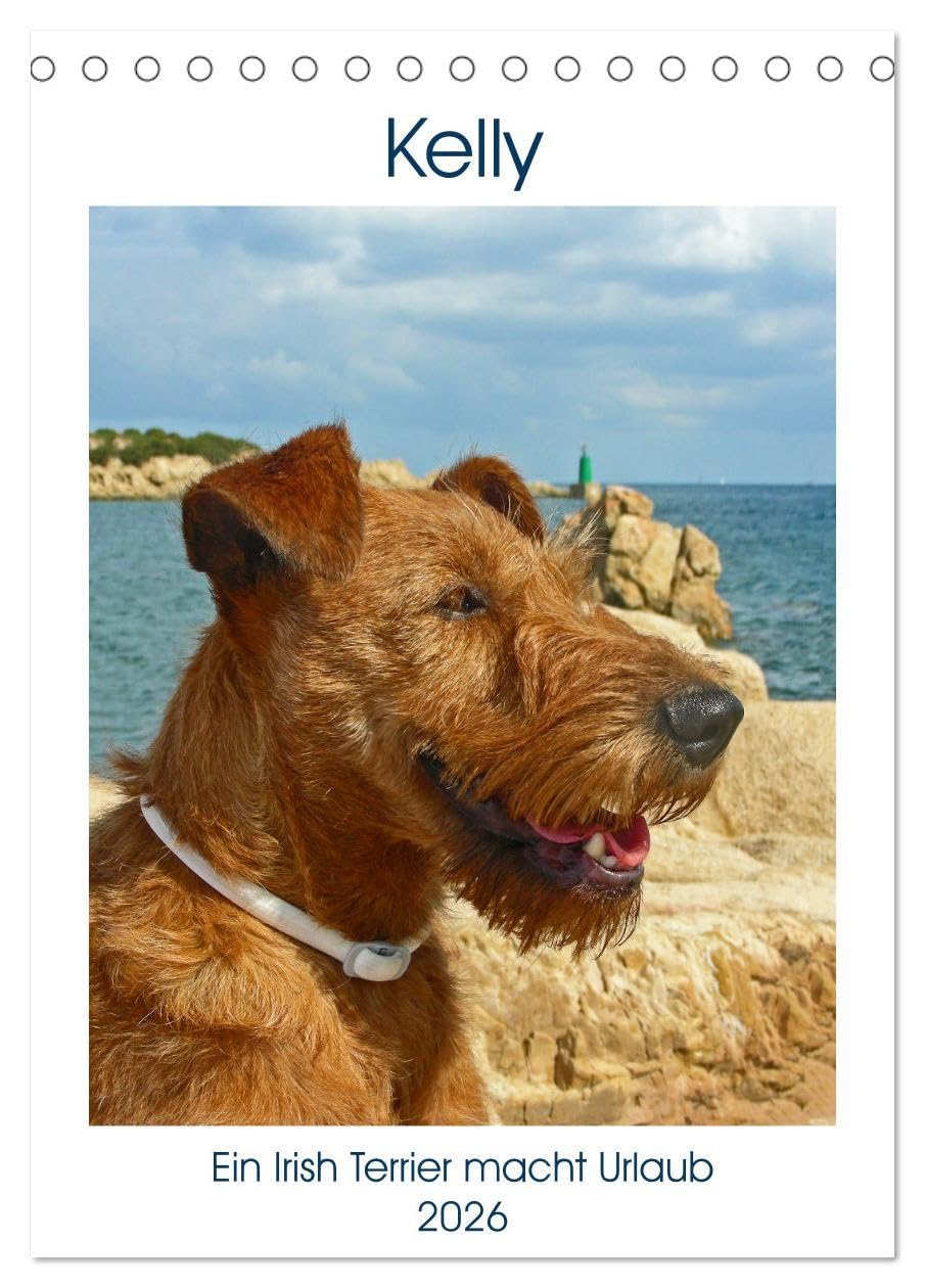 Kelly - Ein Irish Terrier macht Urlaub (Tischkalender 2026 DIN A5 hoch), CALVENDO Monatskalender Natural Sciences