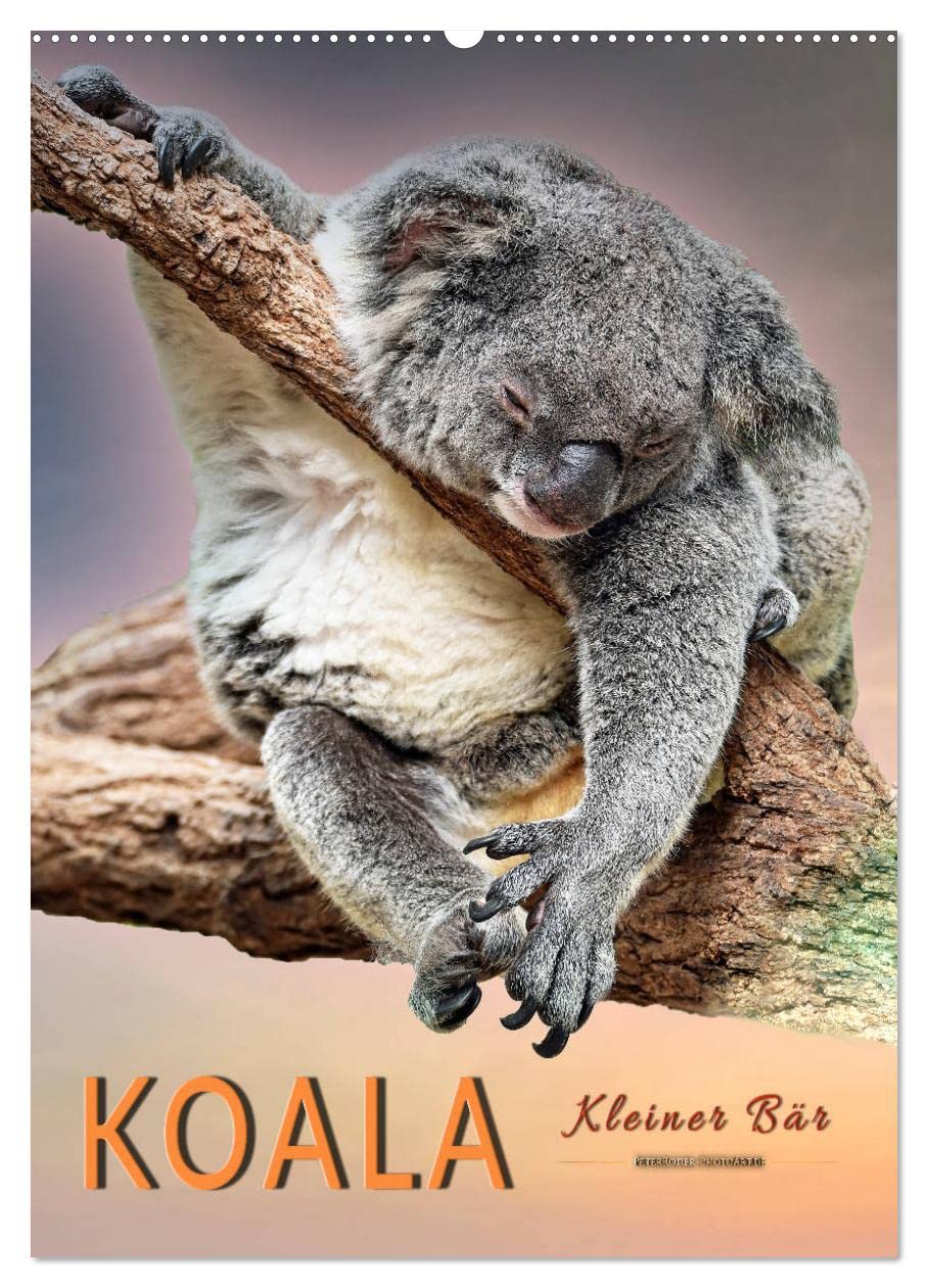 Koala, kleiner Bär (Wandkalender 2026 DIN A2 hoch), CALVENDO Monatskalender Natural Sciences