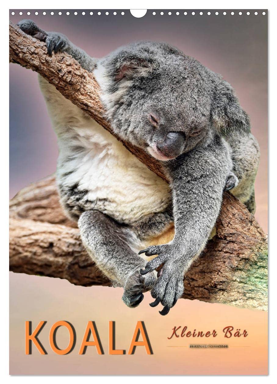 Koala, kleiner Bär (Wandkalender 2026 DIN A3 hoch), CALVENDO Monatskalender Natural Sciences