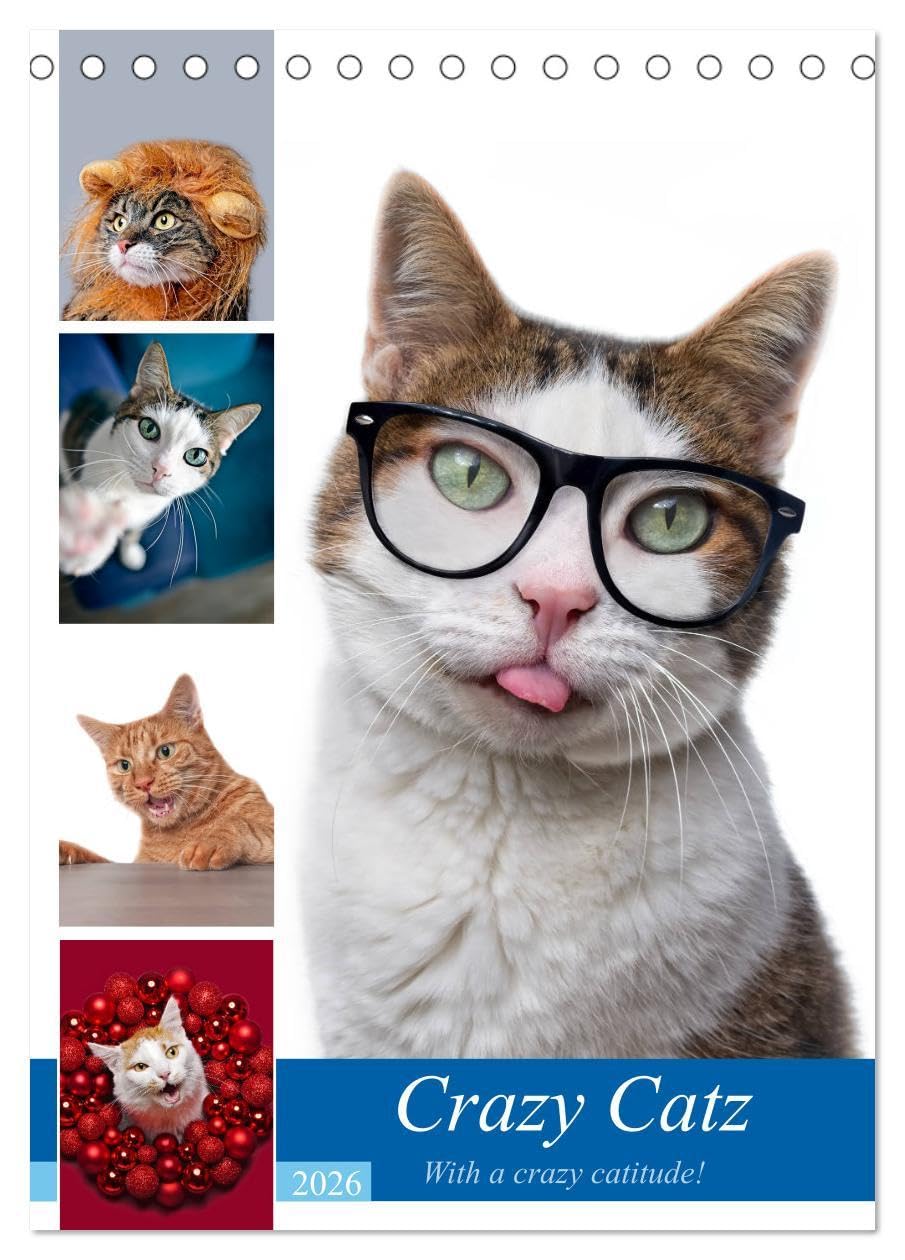 Crazy Catz. (Tischkalender 2026 DIN A5 hoch), CALVENDO Monatskalender: Die wunderbar schrägen, lustigen und ausgeflippten Katzen begleiten durchs Jahr ... das Gesicht des Betrachters. (CALVENDO Tiere) Contemporary literature Books