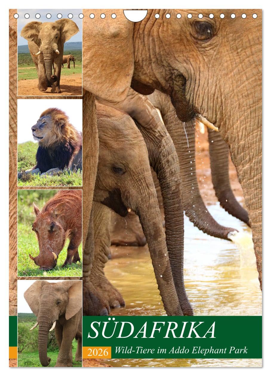 SÜDAFRIKA Wild-Tiere im Addo Elephant Park (Wandkalender 2026 DIN A4 hoch), CALVENDO Monatskalender Leisure, Home & Garden