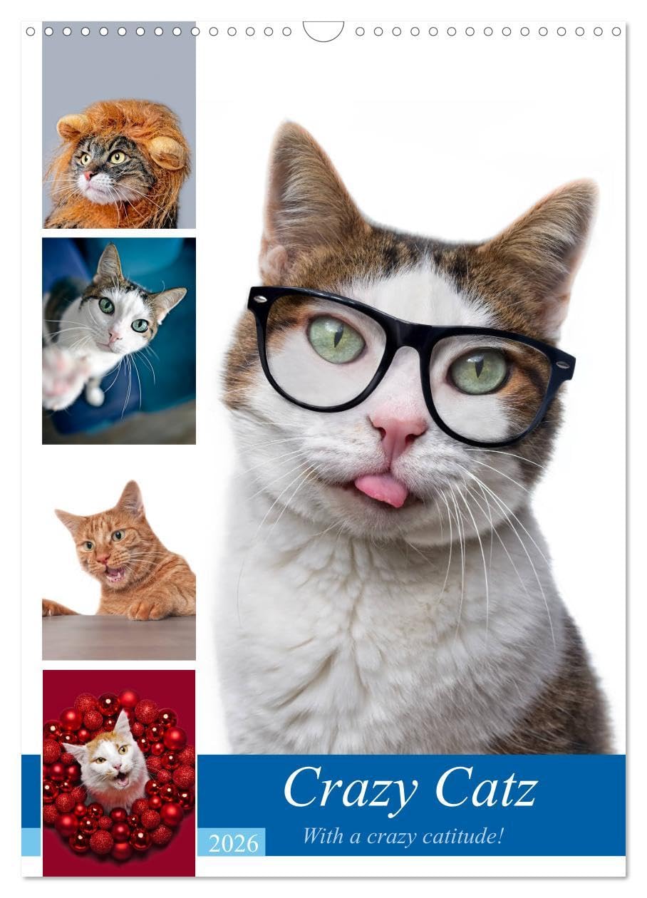 Crazy Catz. (Wandkalender 2026 DIN A3 hoch), CALVENDO Monatskalender: Die wunderbar schrägen, lustigen und ausgeflippten Katzen begleiten durchs Jahr ... das Gesicht des Betrachters. (CALVENDO Tiere) Contemporary literature Books