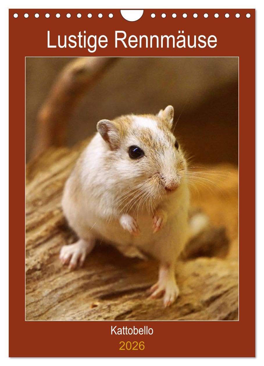 Lustige Rennmäuse (Wandkalender 2026 DIN A4 hoch), CALVENDO Monatskalender Pets