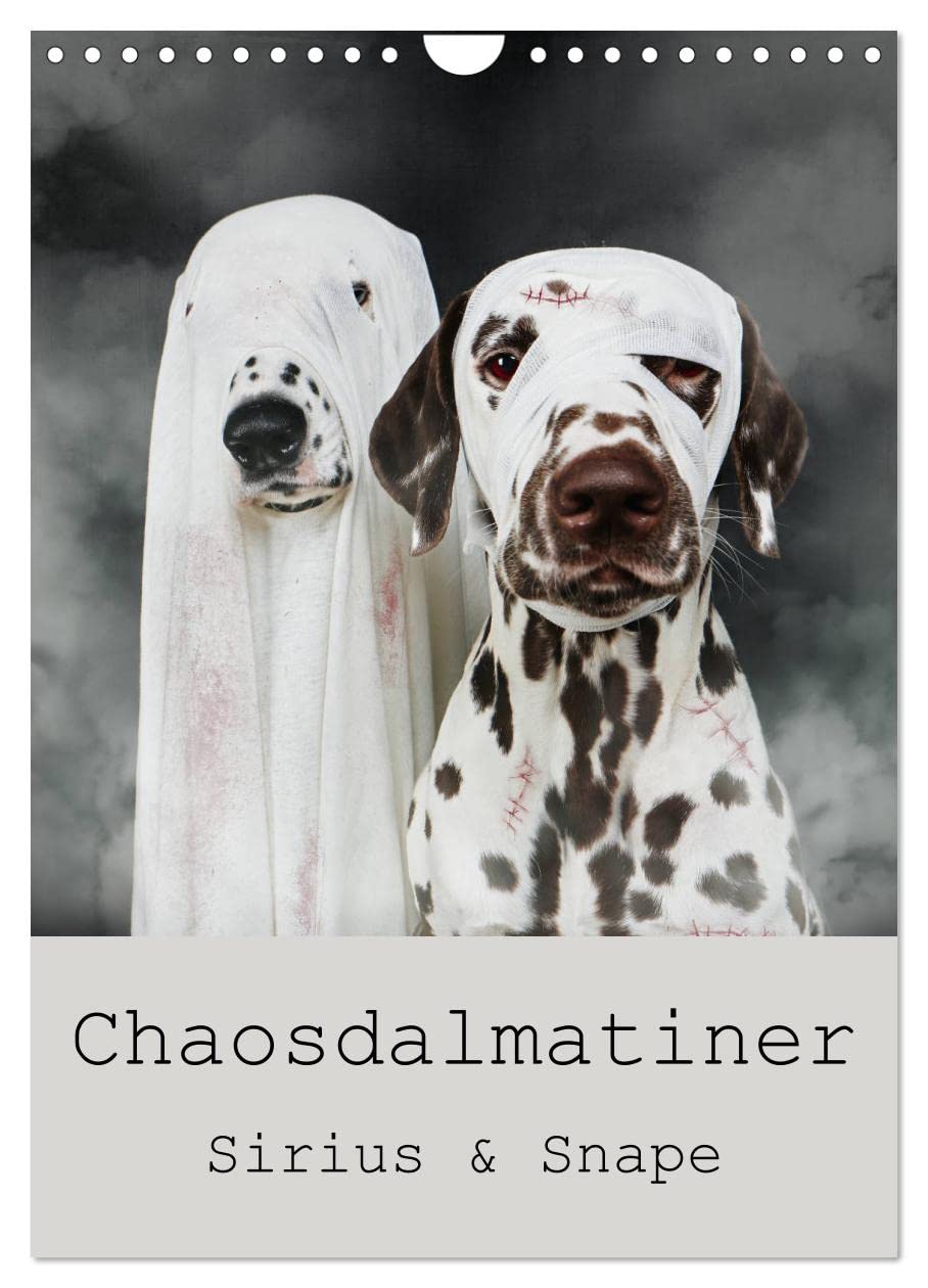 Chaosdalmatiner Sirius und Snape (Wandkalender 2026 DIN A4 hoch), CALVENDO Monatskalender Photography