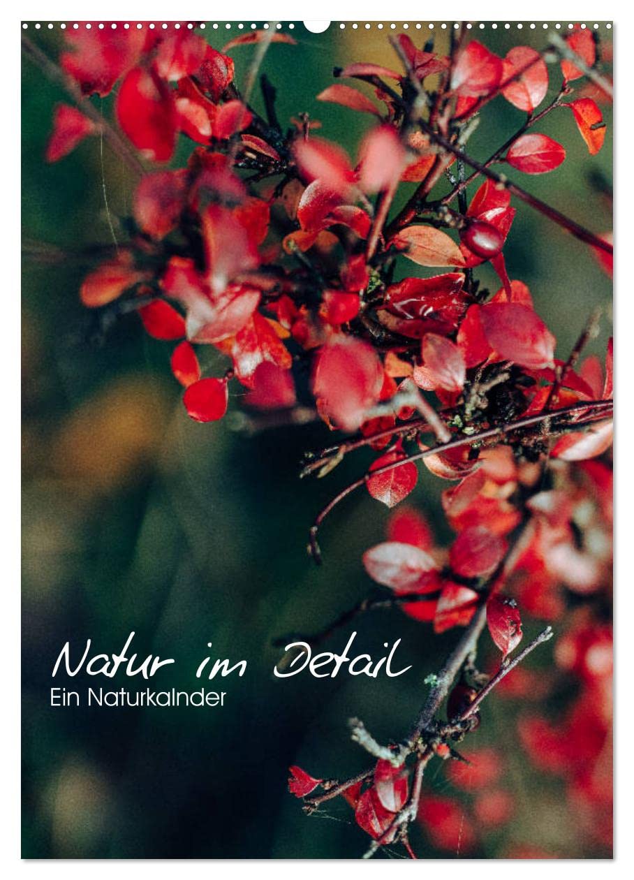 Kalender - Natur im Detail (Wandkalender 2026 DIN A2 hoch), CALVENDO Monatskalender Photography