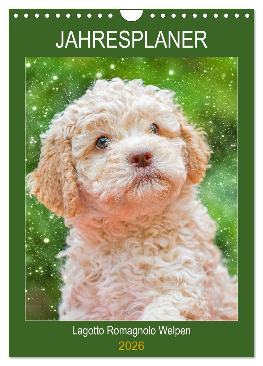 Jahresplaner Lagotto Romagnolo Welpen (Wandkalender 2026 DIN A4 hoch), CALVENDO Monatskalender Natural Sciences
