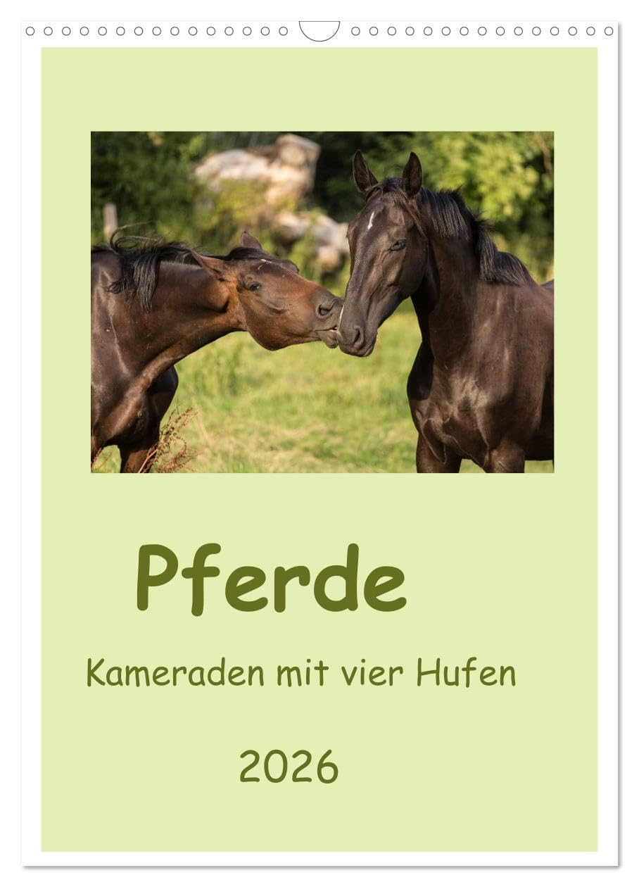 Pferde - Kameraden mit vier Hufen (Wandkalender 2026 DIN A3 hoch), CALVENDO Monatskalender Living & Furnishing