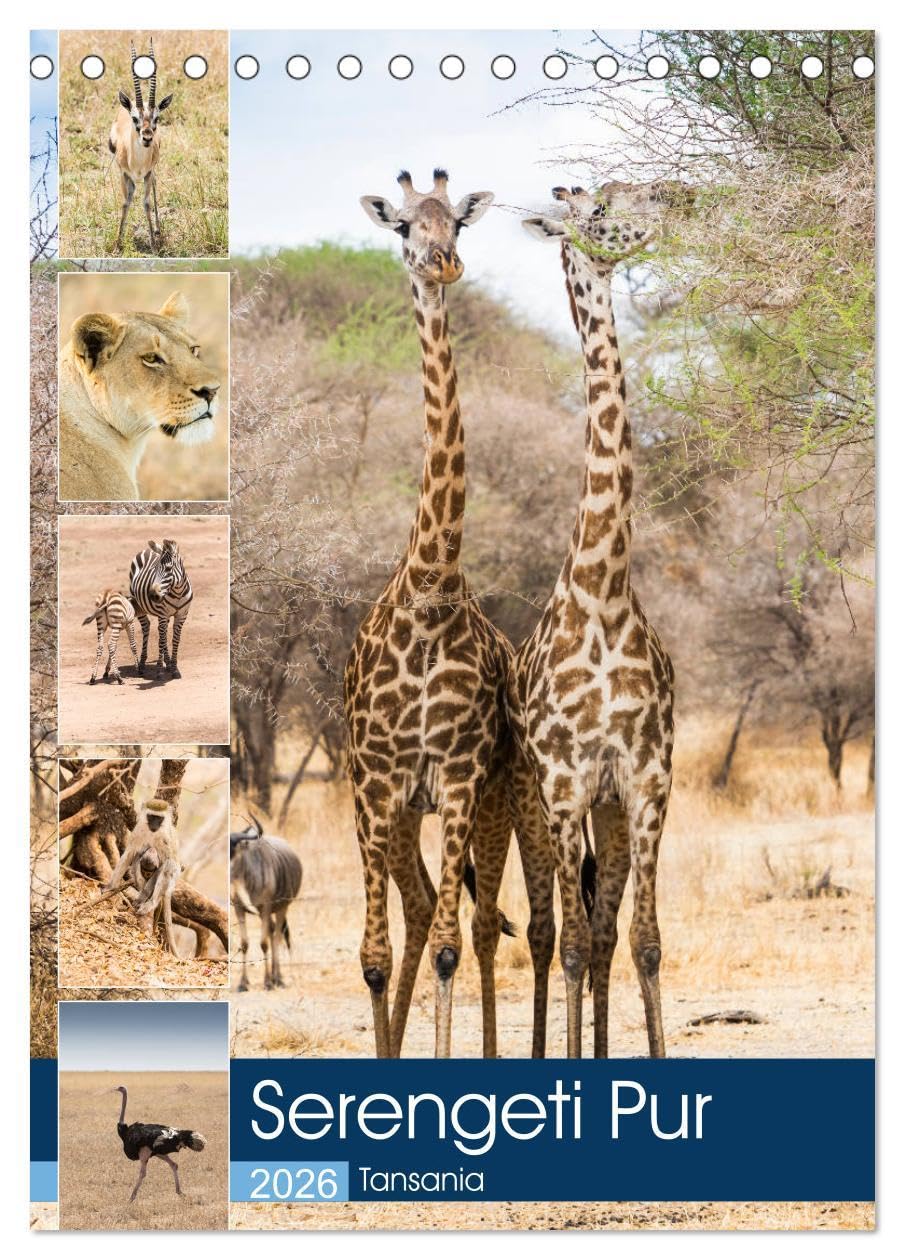 Serengeti Pur - Tansania (Tischkalender 2026 DIN A5 hoch), CALVENDO Monatskalender Leisure, Home & Garden
