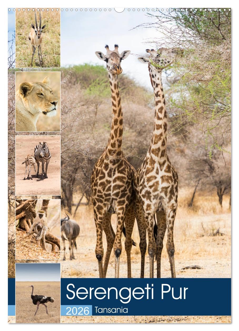 Serengeti Pur - Tansania (Wandkalender 2026 DIN A2 hoch), CALVENDO Monatskalender Leisure, Home & Garden