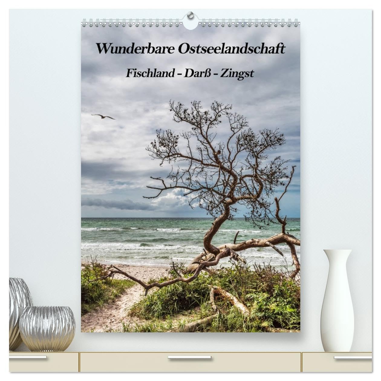 Wunderbare Ostseelandschaft Fischland-Darß-Zingst (hochwertiger Premium Wandkalender 2026 DIN A2 hoch), Kunstdruck in Hochglanz Leisure, Home & Garden