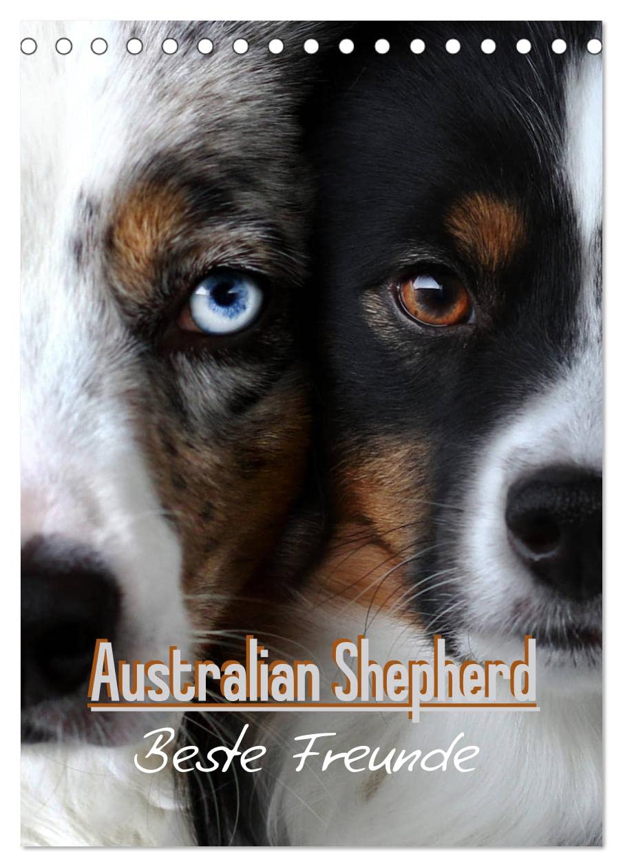 Australian Shepherd - Beste Freunde (Tischkalender 2026 DIN A5 hoch), CALVENDO Monatskalender Natural Sciences