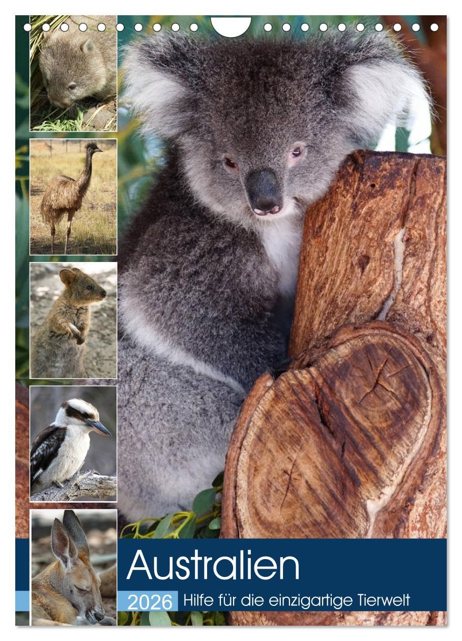 Australien - Hilfe für die einzigartige Tierwelt (Wandkalender 2026 DIN A4 hoch), CALVENDO Monatskalender Leisure, Home & Garden