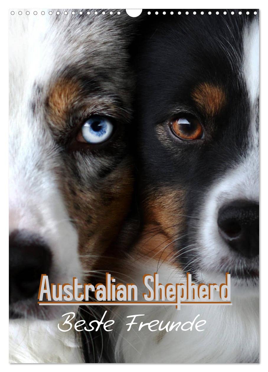Australian Shepherd - Beste Freunde (Wandkalender 2026 DIN A3 hoch), CALVENDO Monatskalender Natural Sciences