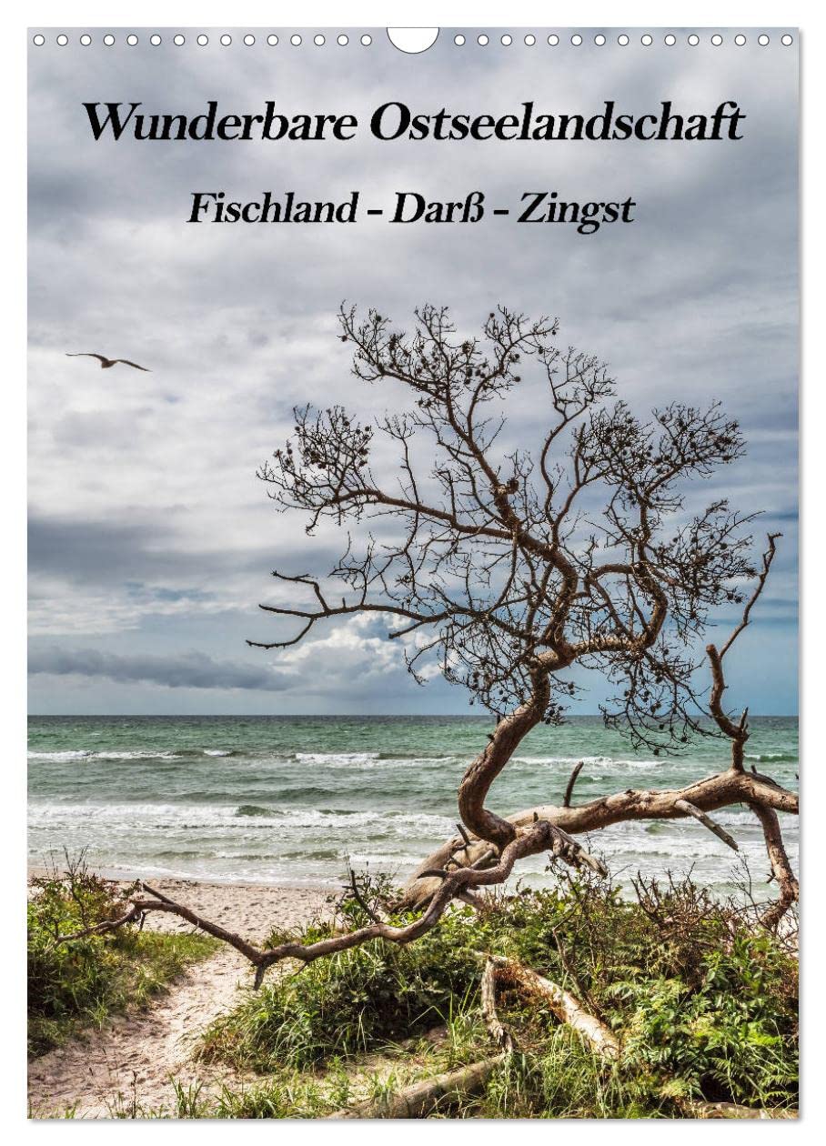 Wunderbare Ostseelandschaft Fischland-Darß-Zingst (Wandkalender 2026 DIN A3 hoch), CALVENDO Monatskalender Leisure, Home & Garden