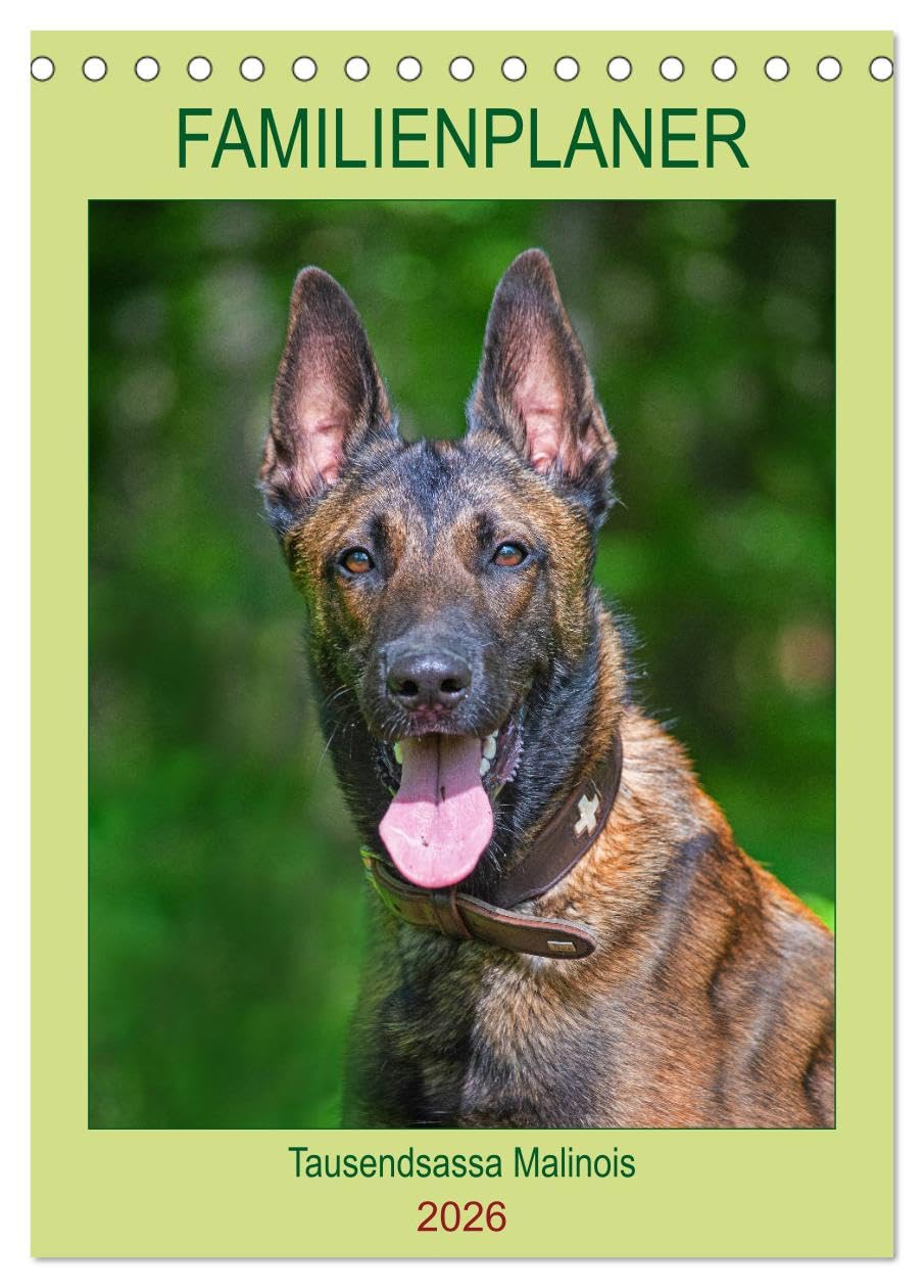 Familienplaner Tausendsassa Malinois (Tischkalender 2026 DIN A5 hoch), CALVENDO Monatskalender Natural Sciences
