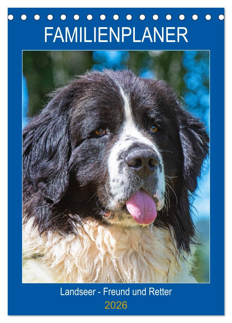 Familienplaner Landseer - Freund und Retter (Tischkalender 2026 DIN A5 hoch), CALVENDO Monatskalender Natural Sciences