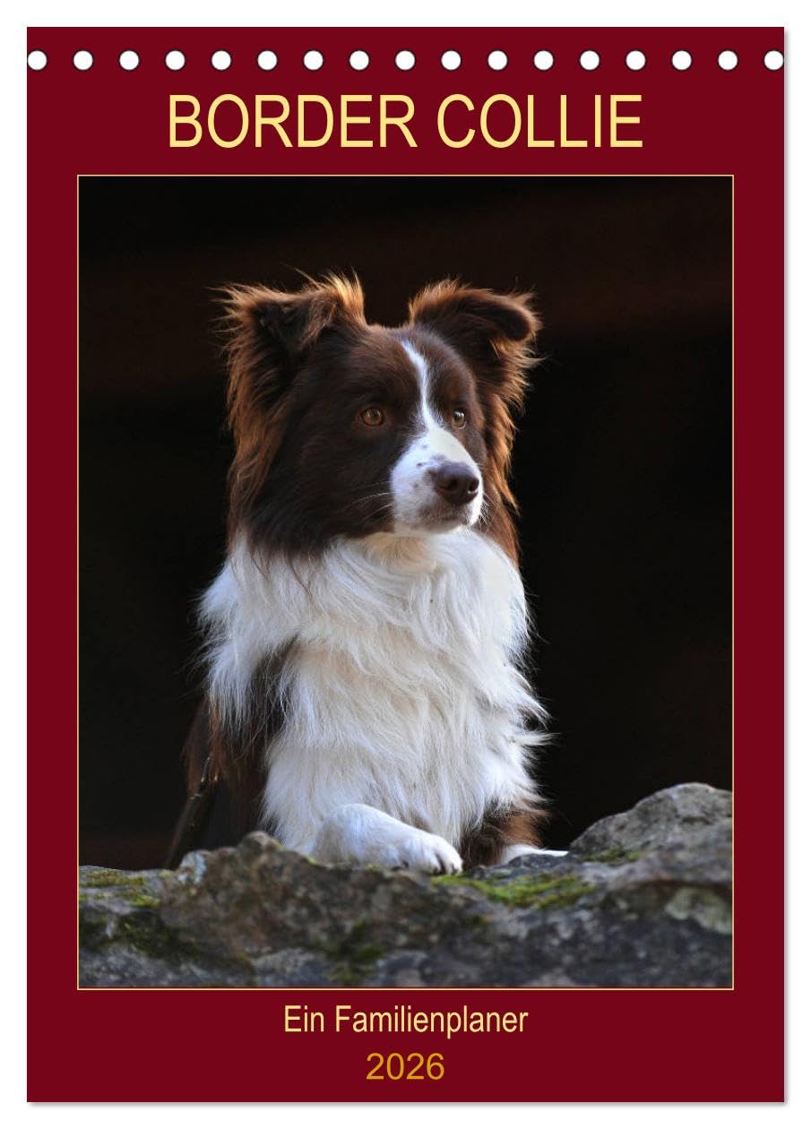 Border Collie - Ein Familienplaner (Tischkalender 2026 DIN A5 hoch), CALVENDO Monatskalender Natural Sciences