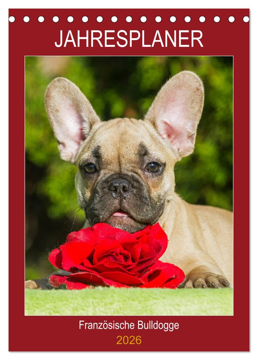 Jahresplaner Französische Bulldogge (Tischkalender 2026 DIN A5 hoch), CALVENDO Monatskalender Natural Sciences