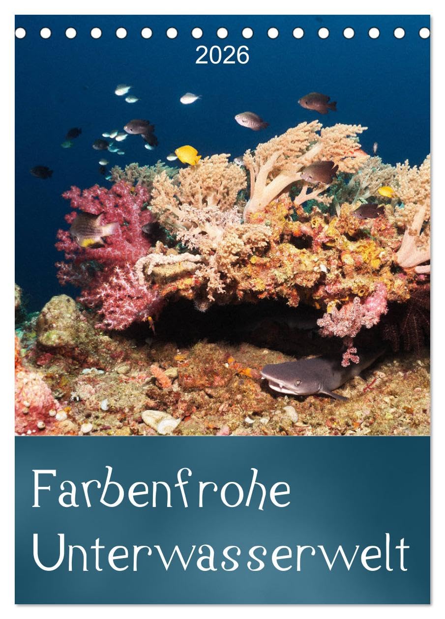 Farbenfrohe Unterwasserwelt (Tischkalender 2026 DIN A5 hoch), CALVENDO Monatskalender Leisure, Home & Garden