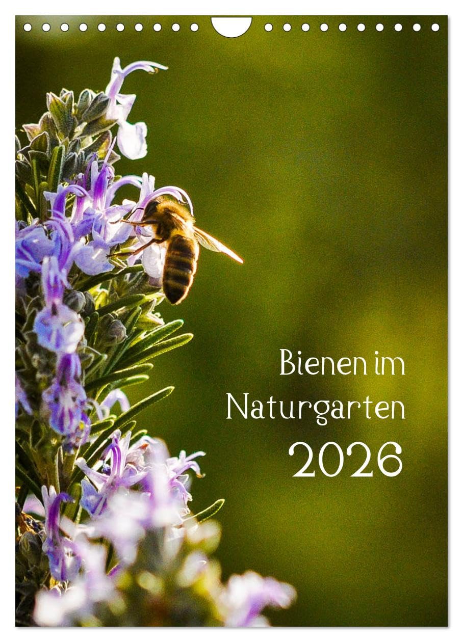 Bienen im Naturgarten (Wandkalender 2026 DIN A4 hoch), CALVENDO Monatskalender Film, Art & Culture