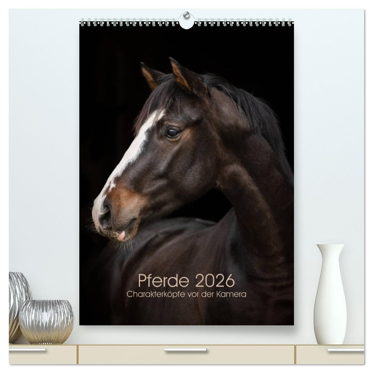 Pferde 2026 - Charakterköpfe vor der Kamera (hochwertiger Premium Wandkalender 2026 DIN A2 hoch), Kunstdruck in Hochglanz Living & Furnishing
