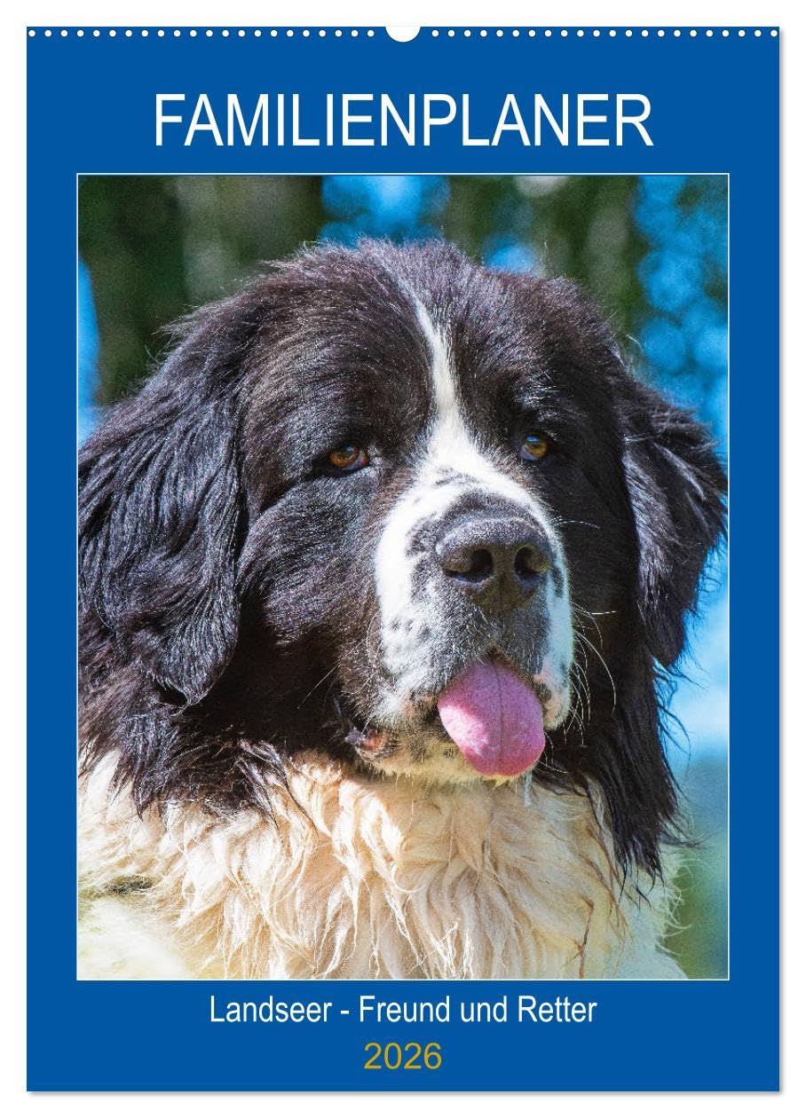 Familienplaner Landseer - Freund und Retter (Wandkalender 2026 DIN A2 hoch), CALVENDO Monatskalender Natural Sciences