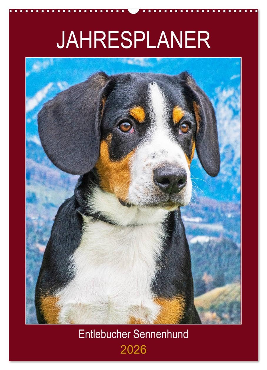 Jahresplaner Entlebucher Sennenhund (Wandkalender 2026 DIN A2 hoch), CALVENDO Monatskalender Natural Sciences