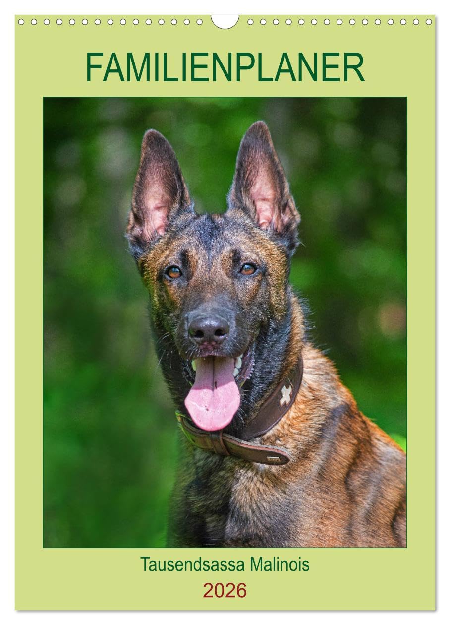 Familienplaner Tausendsassa Malinois (Wandkalender 2026 DIN A3 hoch), CALVENDO Monatskalender Natural Sciences