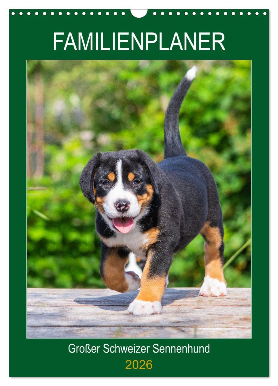 Familienplaner Großer Schweizer Sennenhund (Wandkalender 2026 DIN A3 hoch), CALVENDO Monatskalender Natural Sciences