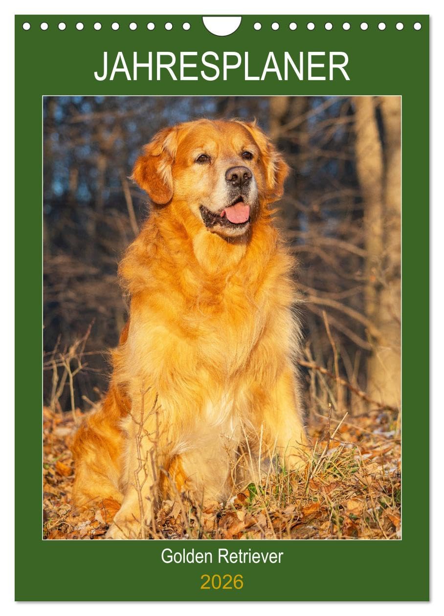 Jahresplaner Golden Retriever (Wandkalender 2026 DIN A4 hoch), CALVENDO Monatskalender Natural Sciences