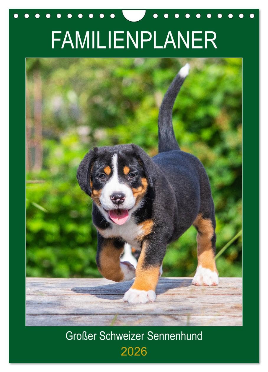 Familienplaner Großer Schweizer Sennenhund (Wandkalender 2026 DIN A4 hoch), CALVENDO Monatskalender Natural Sciences