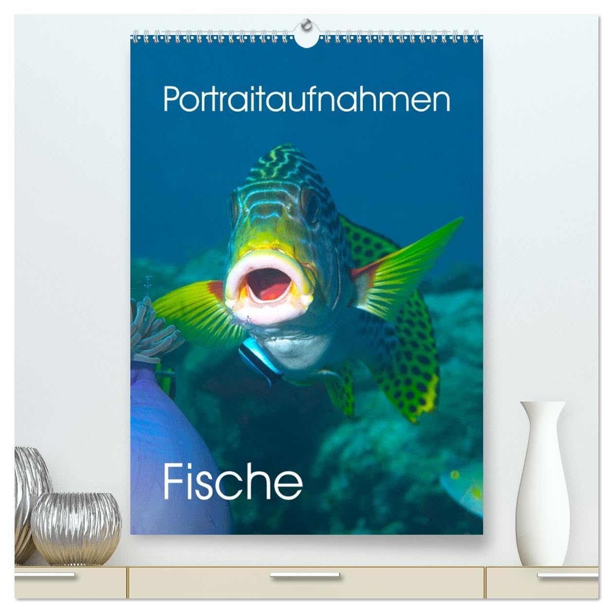 Portraitaufnahmen - Fische (hochwertiger Premium Wandkalender 2026 DIN A2 hoch), Kunstdruck in Hochglanz: Im Profil - als Portrait - Meeresfische (CALVENDO Tiere) Leisure, Home & Garden