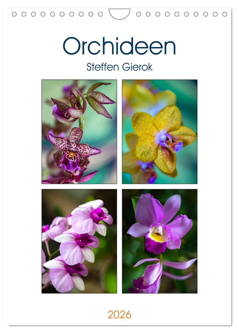 Orchideen (Wandkalender 2026 DIN A4 hoch), CALVENDO Monatskalender Social Sciences