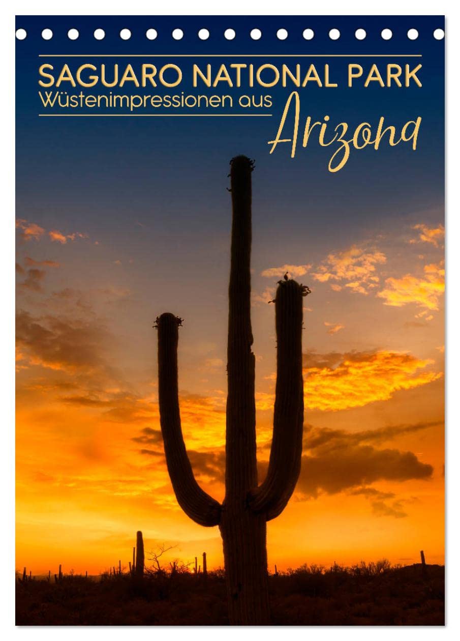 SAGUARO NATIONAL PARK Wüstenimpressionen aus Arizona (Tischkalender 2026 DIN A5 hoch), CALVENDO Monatskalender Film, Art & Culture